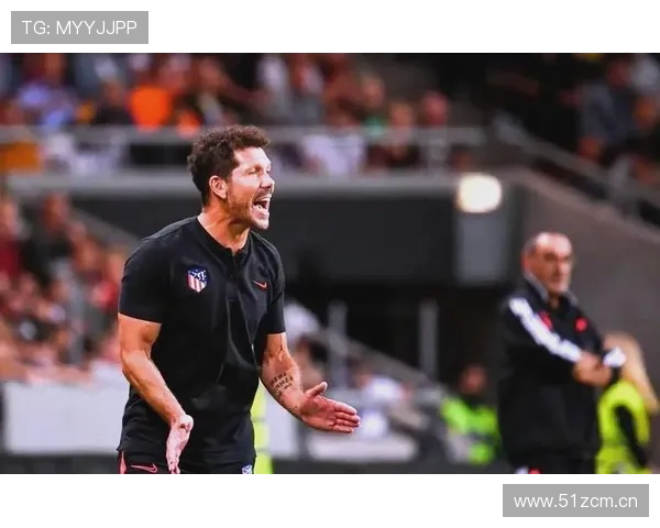 西蒙尼球员使用